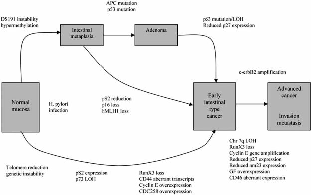 Fig. (3)