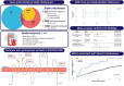 Graphical Abstract
