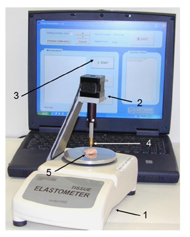 Fig. 1