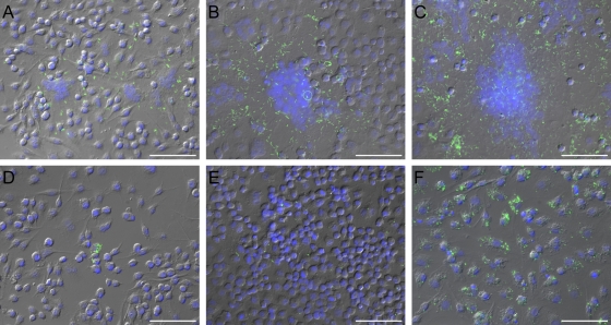 FIG. 4.