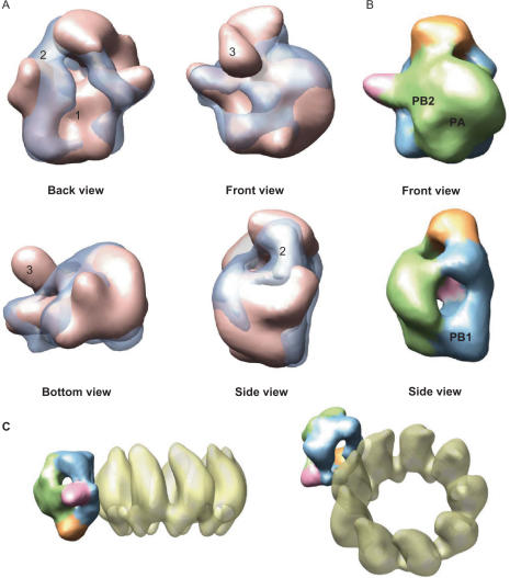 Figure 5.