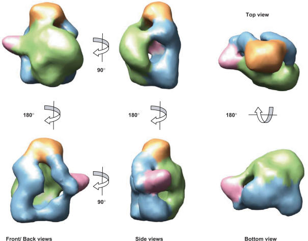 Figure 4.