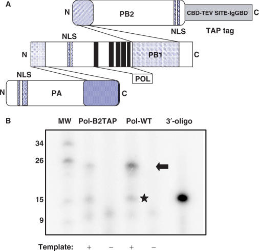 Figure 1.