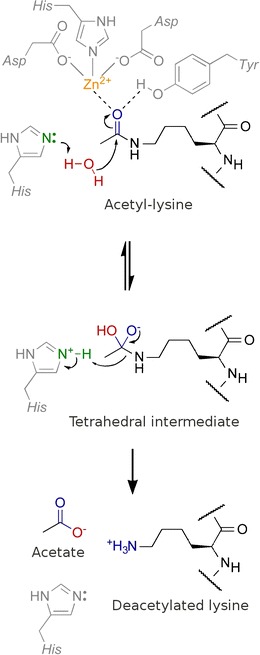 Fig. 1