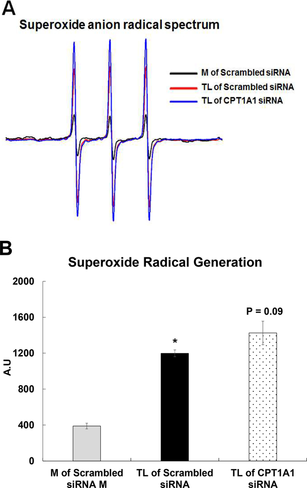 Figure 13.