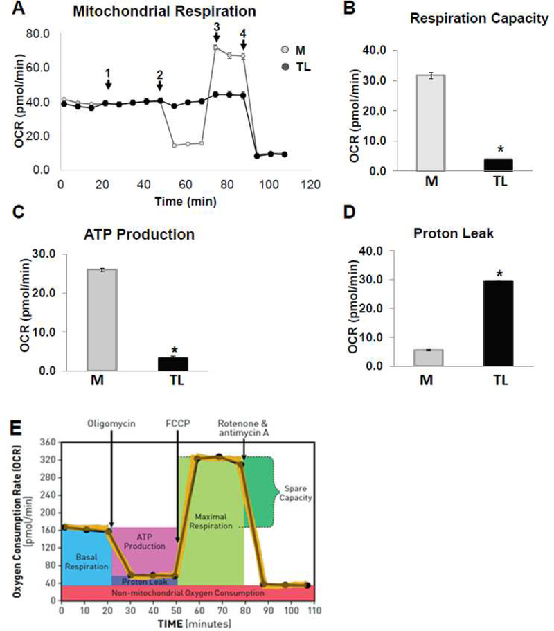 Figure 9.