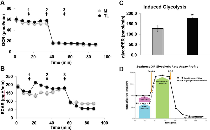 Figure 10.