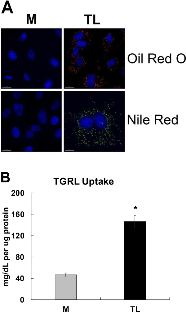 Figure 14.