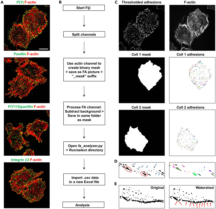 Figure 3