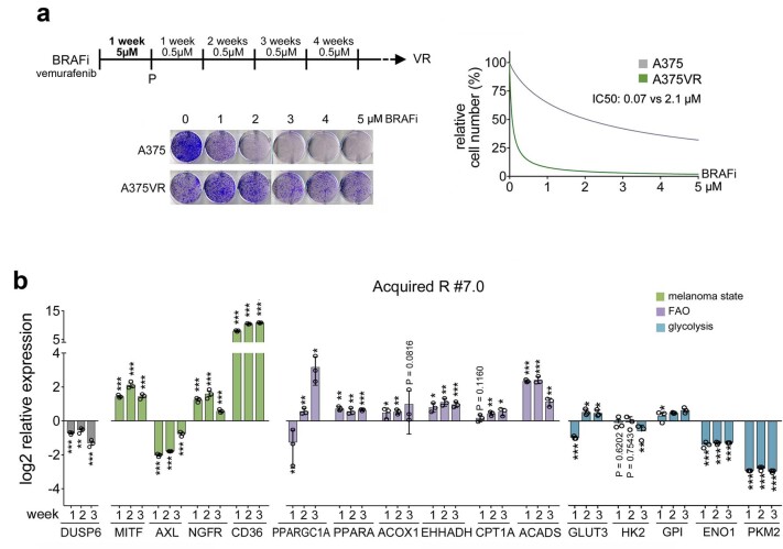 Extended Data Fig. 1