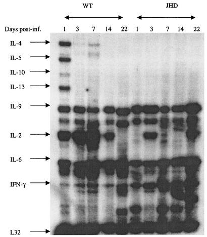 FIG. 7.