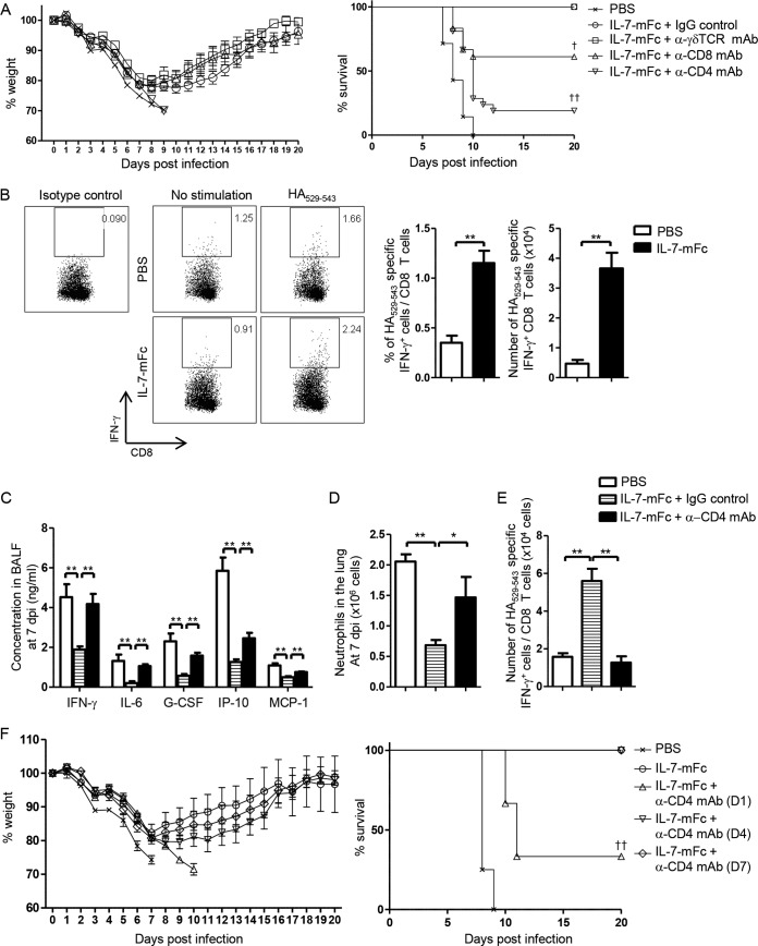 FIG 6