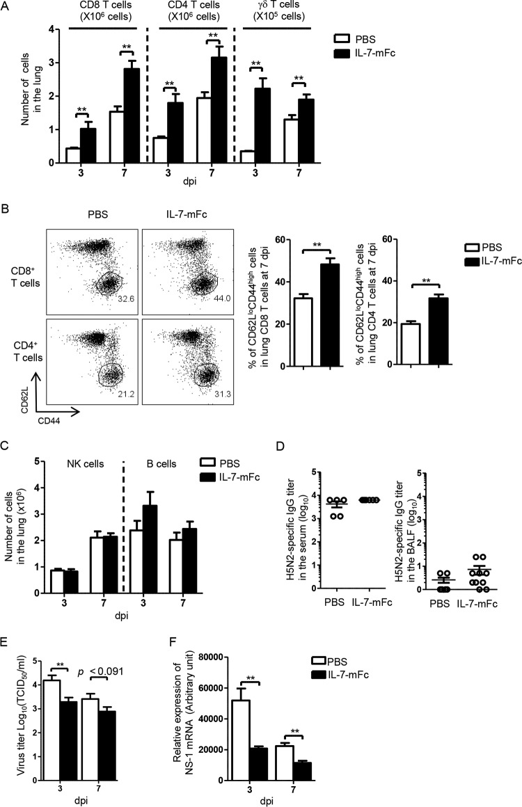 FIG 3