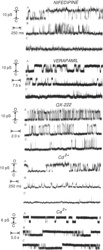 graphic file with name pnas01065-0043-a.jpg