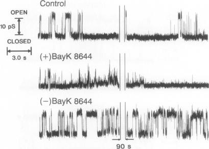 graphic file with name pnas01065-0044-a.jpg