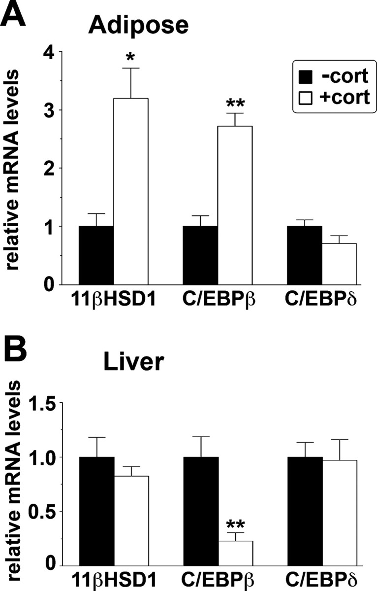 Fig. 9.