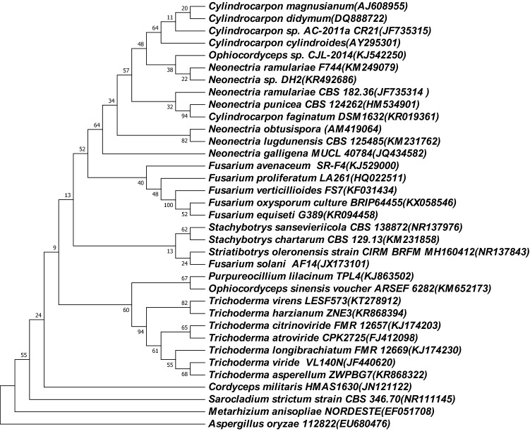 Fig. 1