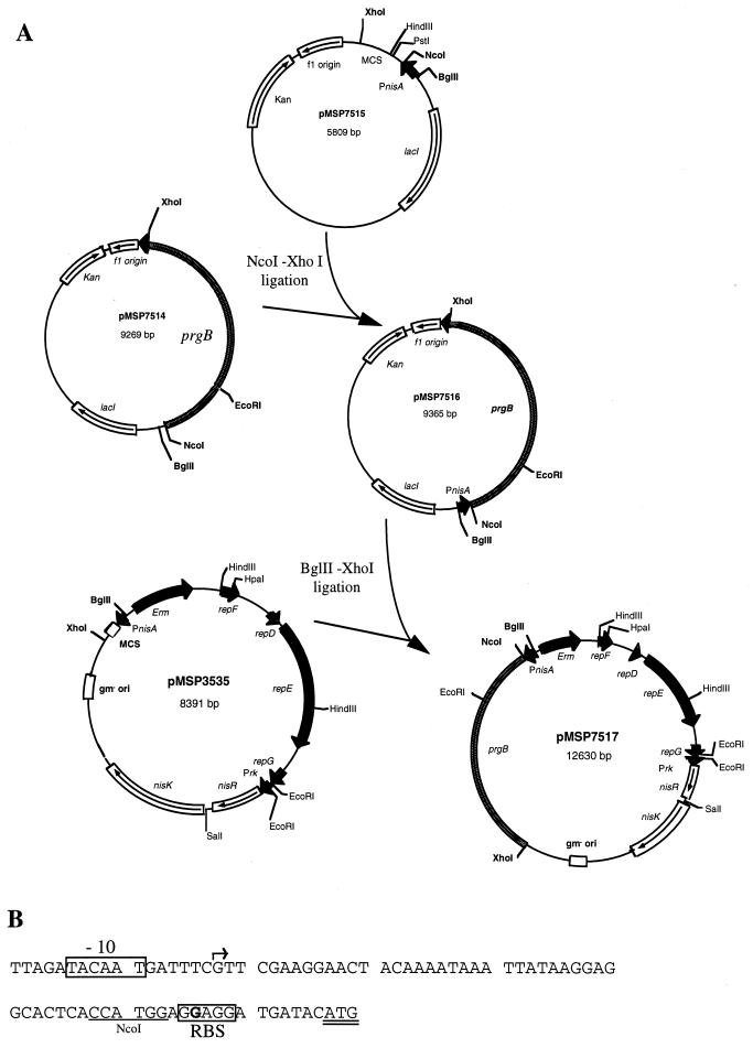 FIG. 1