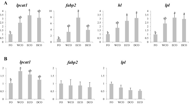 Fig. 4