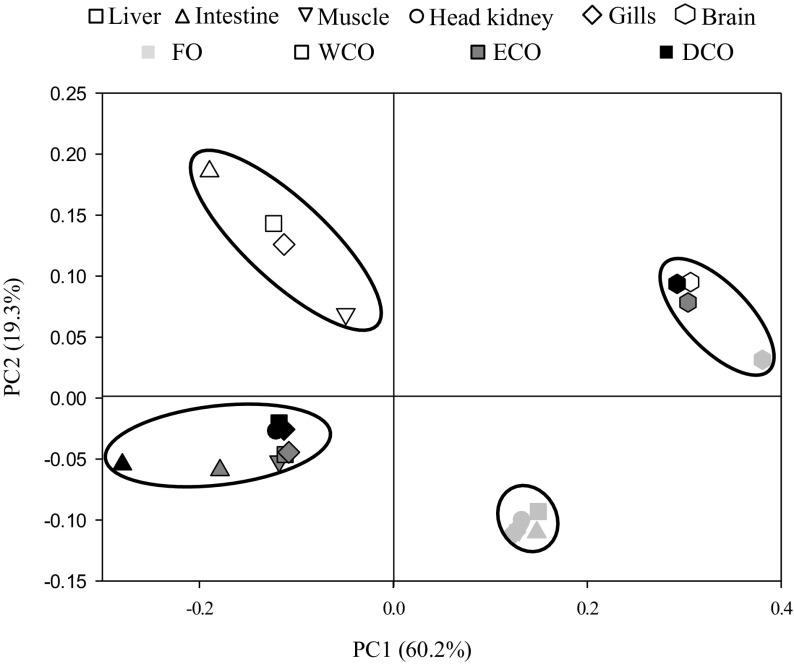 Fig. 2