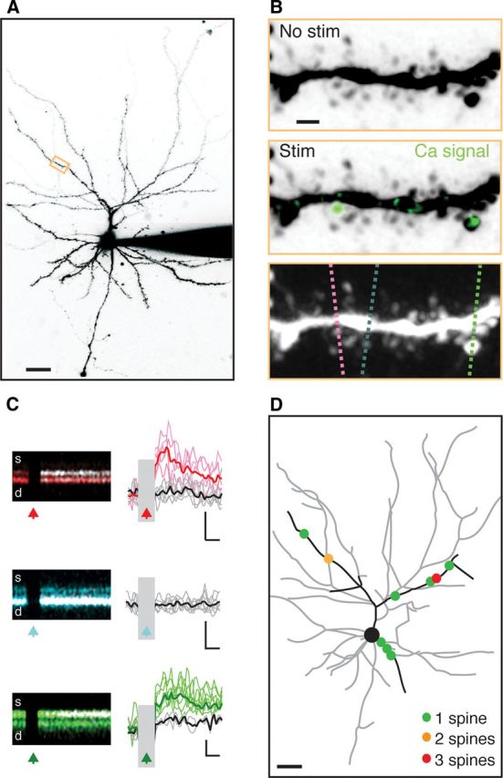 Figure 3.