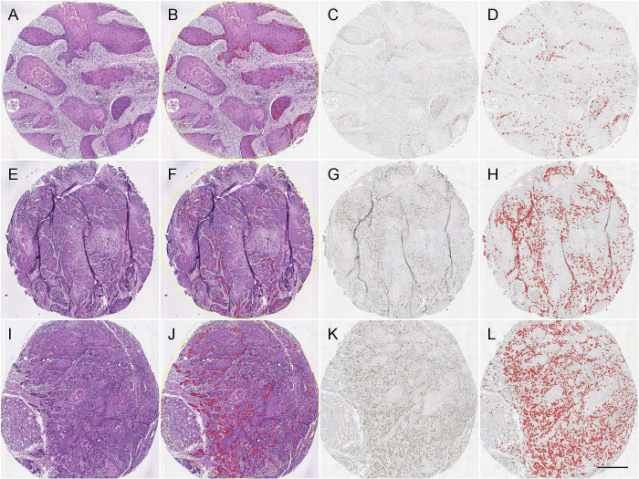 Fig. 9