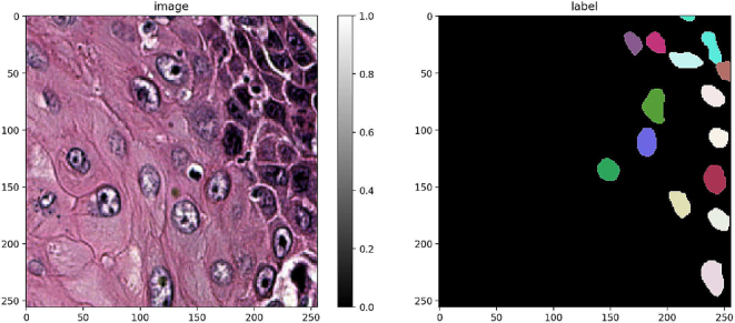 Fig. 7