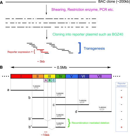 Fig. 4