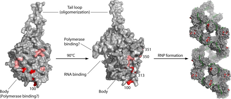 Fig 5