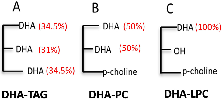 Fig.1: