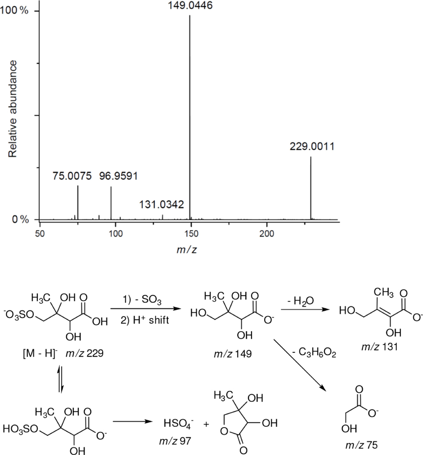 Figure 12.