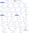 Scheme 2