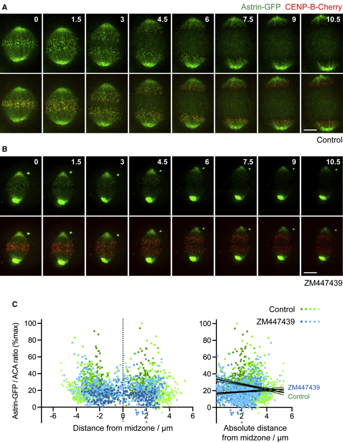 Figure 6