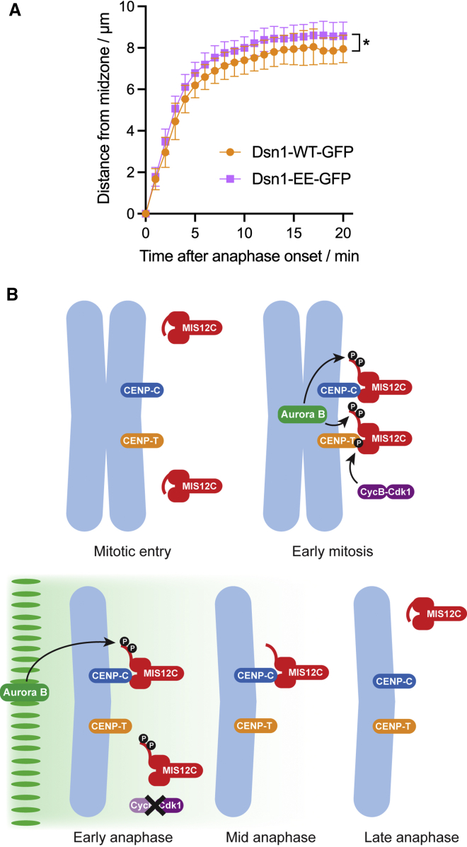 Figure 7