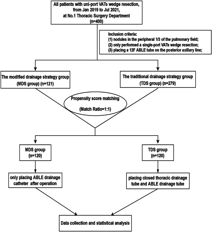 FIGURE 1