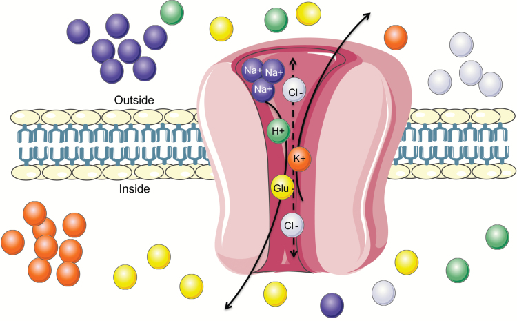 Figure 1.