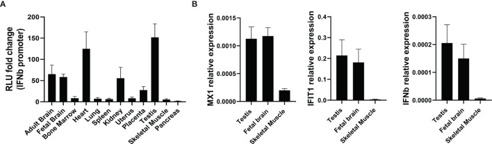 Figure 10