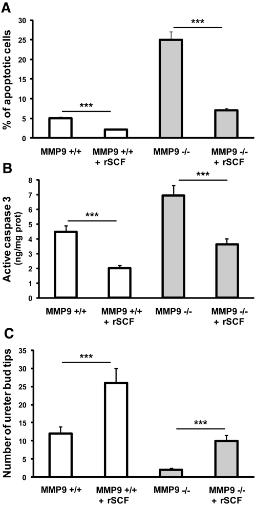 Figure 9.