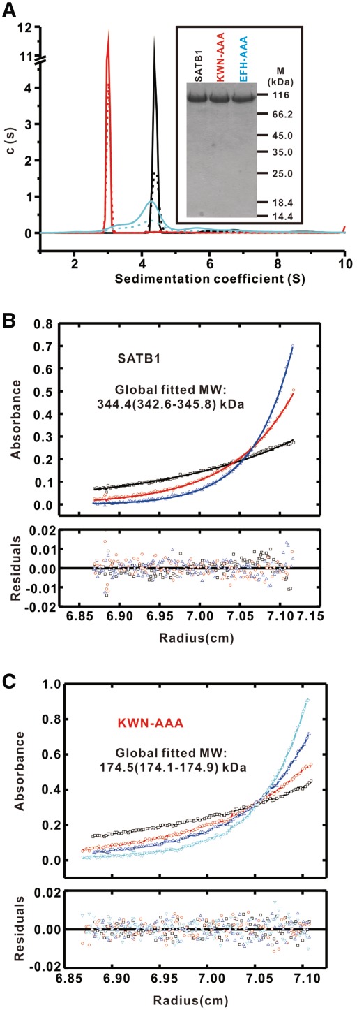 Figure 3.