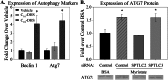 FIGURE 10.