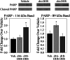 FIGURE 12.