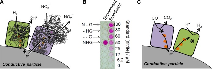 Figure 6.