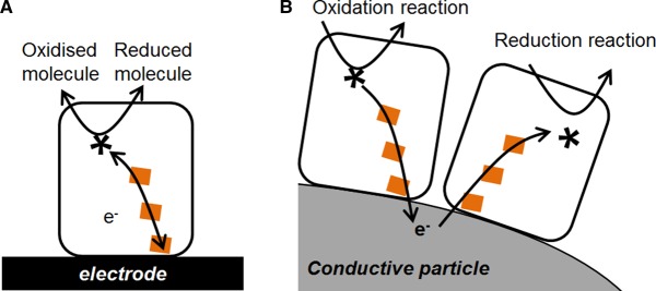 Figure 2.