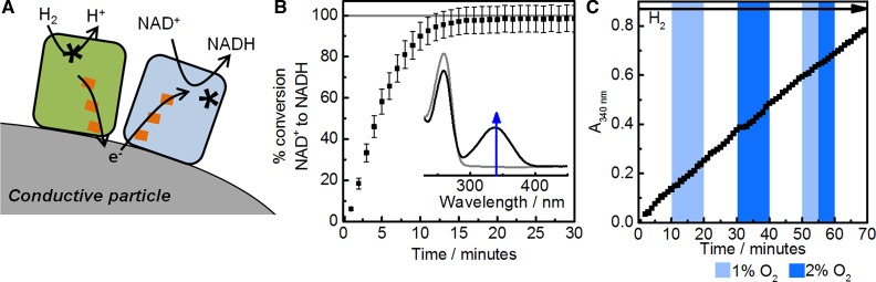 Figure 7.