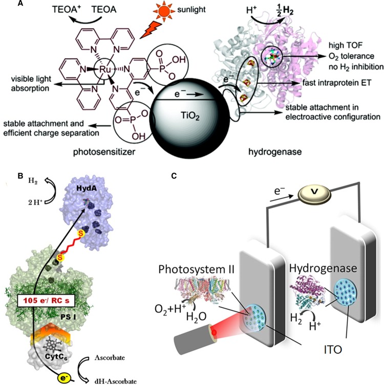 Figure 12.