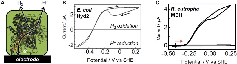 Figure 3.