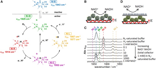 Figure 10.