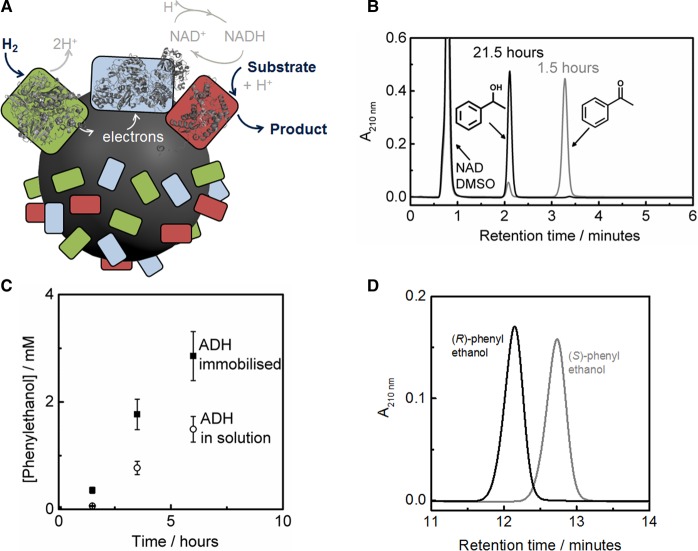 Figure 11.