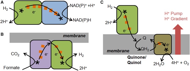 Figure 1.