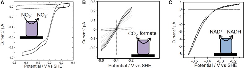 Figure 4.